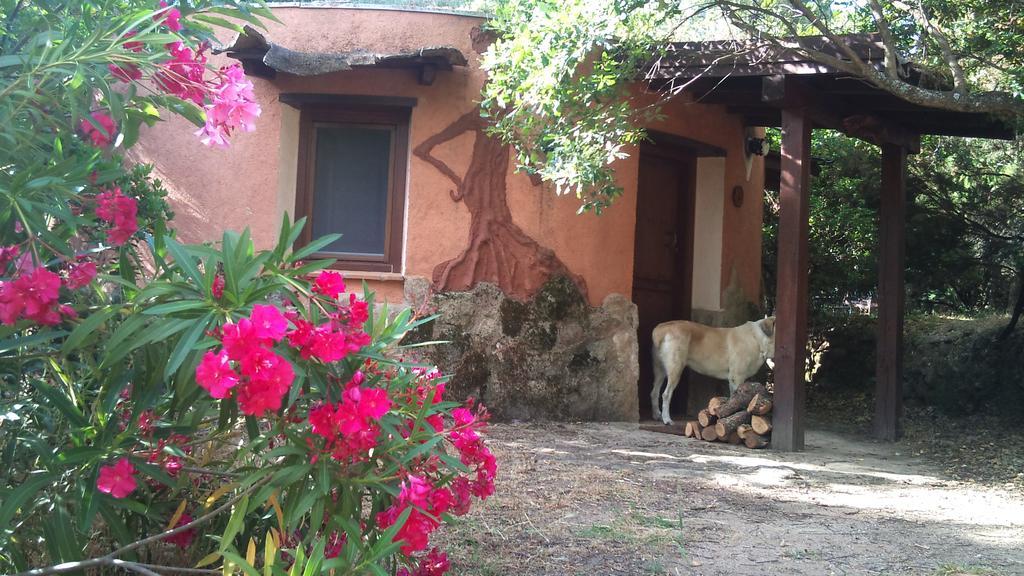 Apartamentos Rurales Ecopangea Valverde de la Vera ภายนอก รูปภาพ
