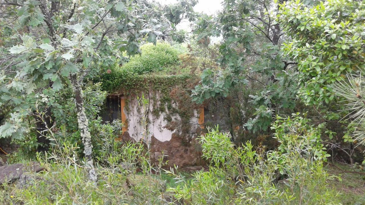 Apartamentos Rurales Ecopangea Valverde de la Vera ภายนอก รูปภาพ