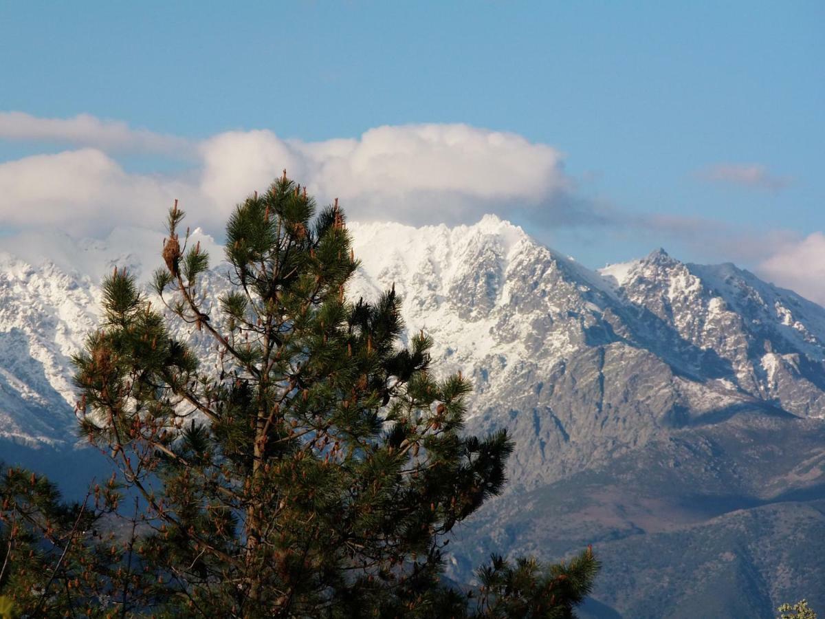 Apartamentos Rurales Ecopangea Valverde de la Vera ภายนอก รูปภาพ