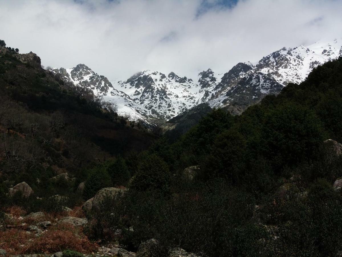 Apartamentos Rurales Ecopangea Valverde de la Vera ภายนอก รูปภาพ