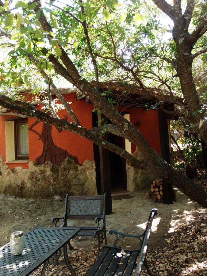 Apartamentos Rurales Ecopangea Valverde de la Vera ภายนอก รูปภาพ