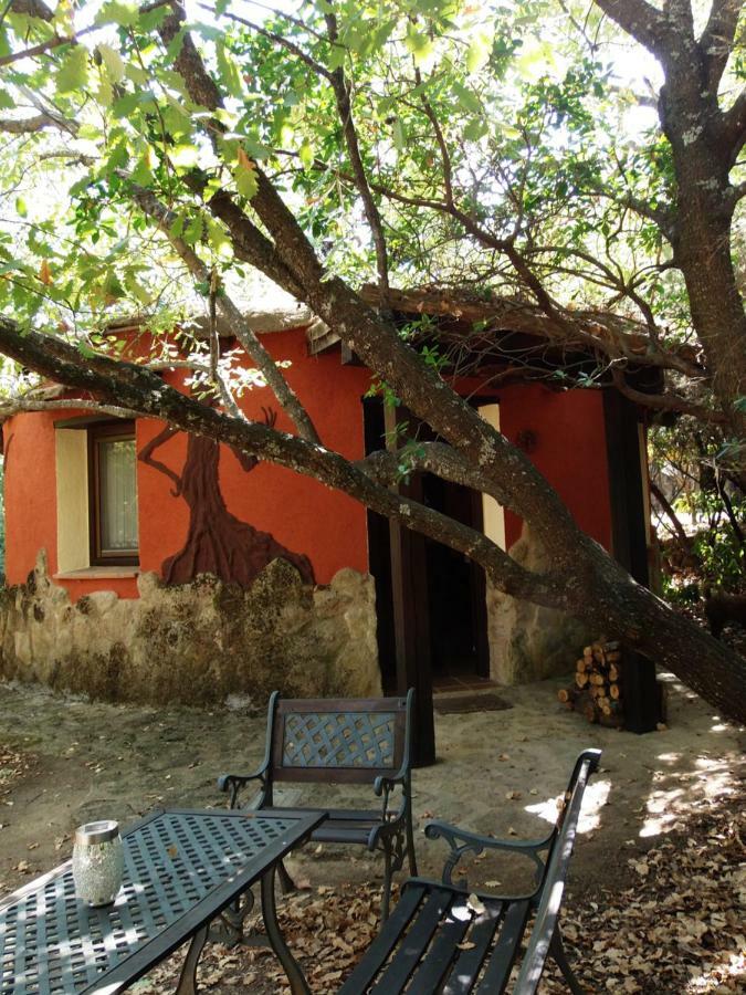 Apartamentos Rurales Ecopangea Valverde de la Vera ภายนอก รูปภาพ