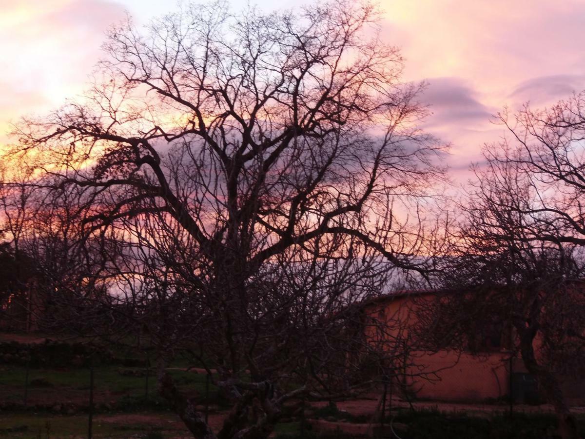 Apartamentos Rurales Ecopangea Valverde de la Vera ภายนอก รูปภาพ